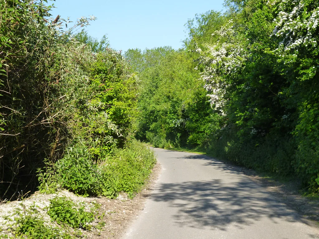 The lane up to the Lewes recycling site at Ham Lane. It has no pavement, which is why pedestrians are not allowed in.