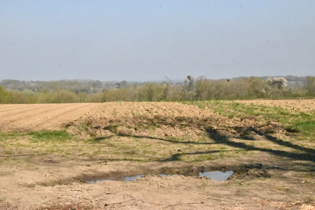 Farmland near Plumpton, in the Low Weald below the South Downs. The North Barnes site lies north of the village; this photo does not show it.