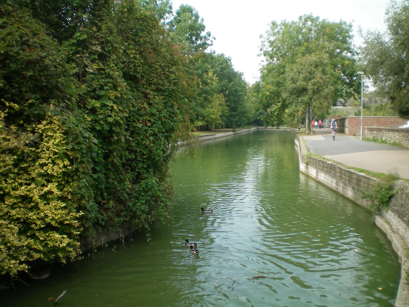 The water at the Pells in Lewes. The lake sits on the water table, so its level rises and falls with the groundwater around it.